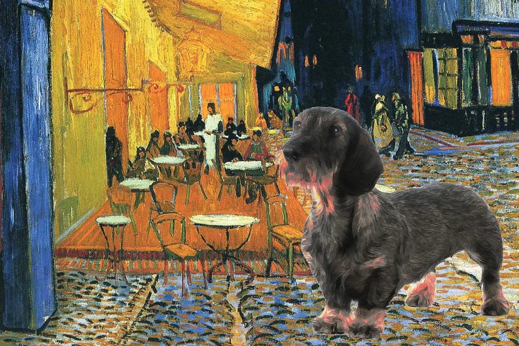 Wirehaired Dachshund Cafe Terrace At Night