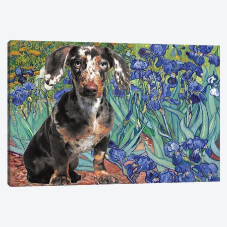 Dachshund Irises Canvas Print #NDG286} by Nobility Dogs Canvas Print