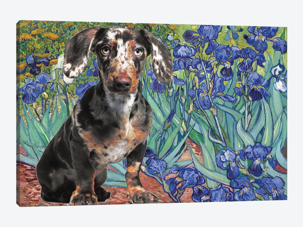 Dachshund Irises by Nobility Dogs 1-piece Art Print
