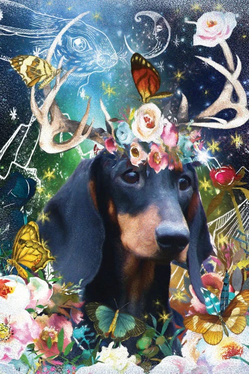 Dachshund Once Upon A Time