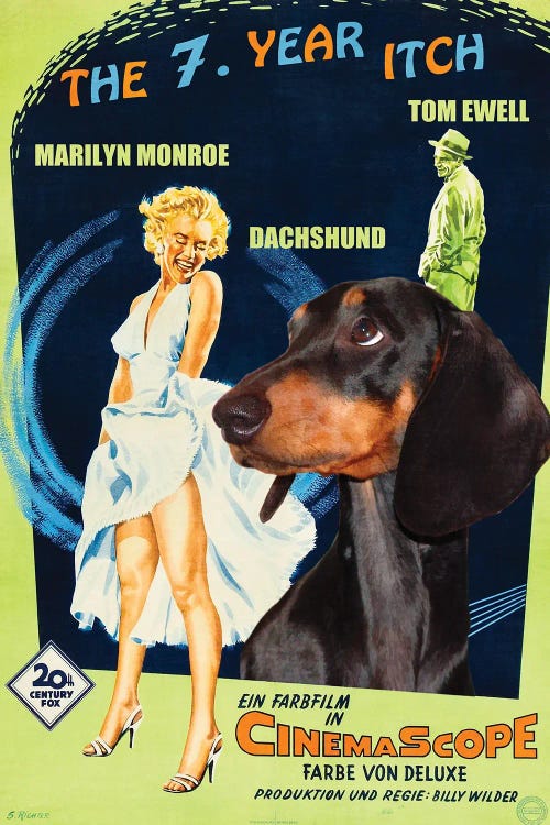 Black Dachshund The Seven Year Itch