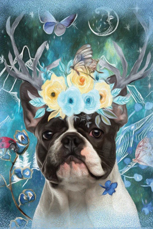 Pied French Bulldog Once Upon A Time