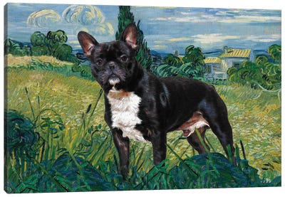 French Bulldog Green Wheat Field With Cypress Canvas Art Print - French Bulldog Art