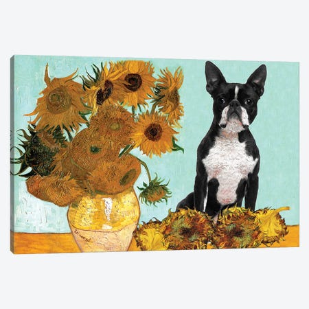 Boston Terrier Sunflowers Canvas Print #NDG31} by Nobility Dogs Canvas Art Print