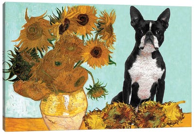 Boston Terrier Sunflowers Canvas Art Print - All Things Van Gogh
