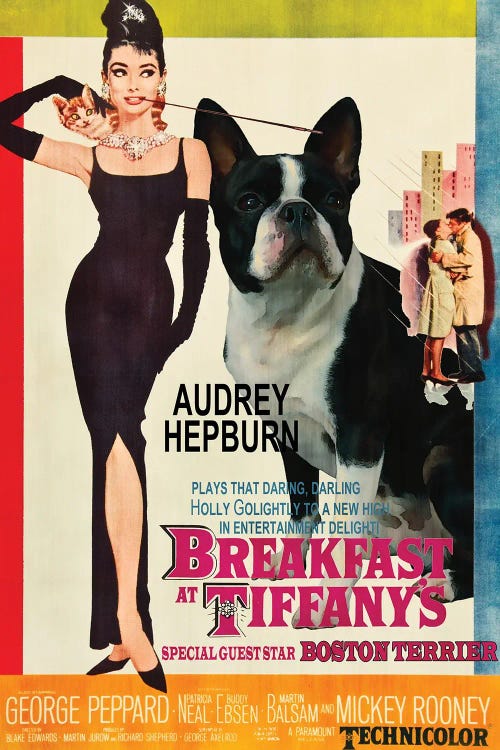 Boston Terrier Breakfast At Tiffany