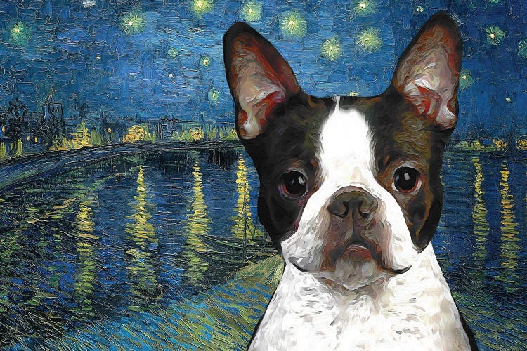 Boston Terrier Starry Night Over The Rhone