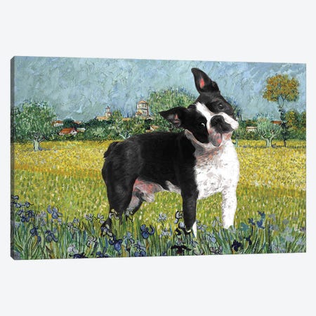 Boston Terrier View Of Arles With Irises Canvas Print #NDG325} by Nobility Dogs Canvas Art