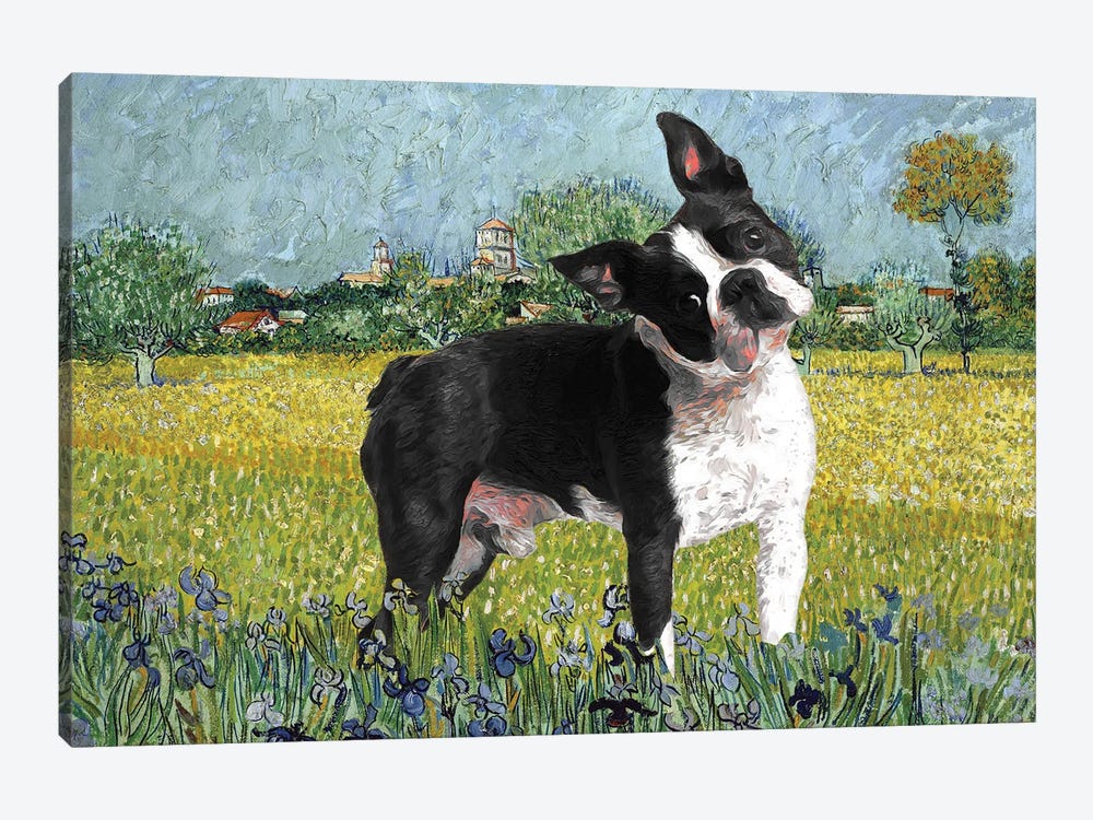Boston Terrier View Of Arles With Irises by Nobility Dogs 1-piece Canvas Print