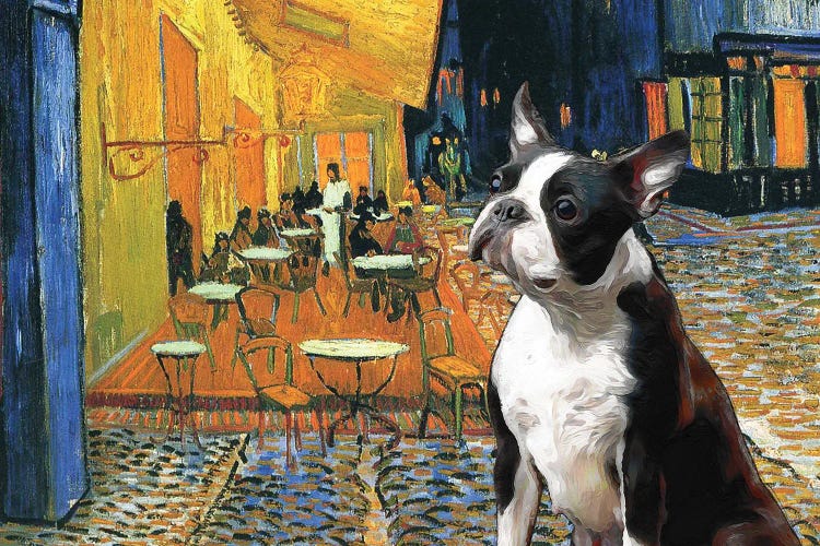 Boston Terrier Cafe Terrace At Night