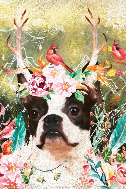 Boston Terrier Once Upon A Time