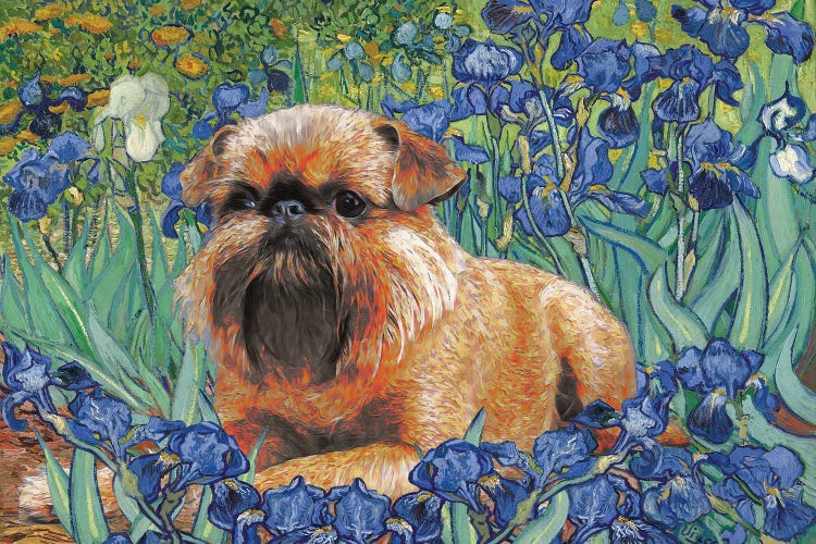 Brussels Griffon Irises