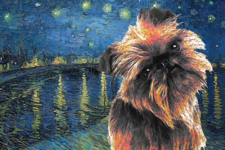 Brussels Griffon Starry Night Over The Rhone