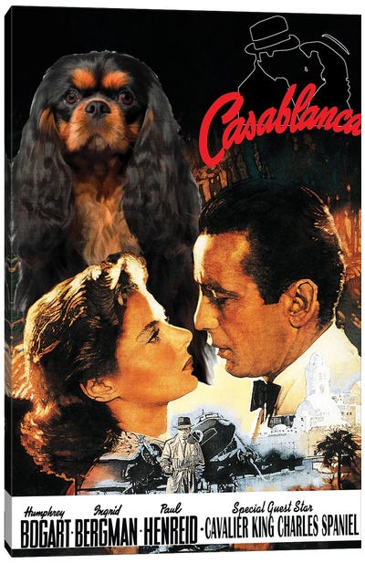 Cavalier King Charles Spaniel Casablanca Canvas Art Print - Golden Age of Hollywood Art