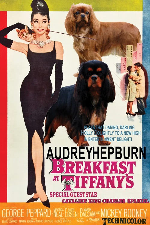 Cavalier King Charles Spaniel Breakfast At Tiffany