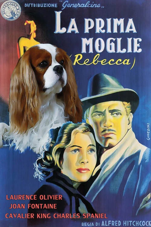 Cavalier King Charles Spaniel Rebecca Movie