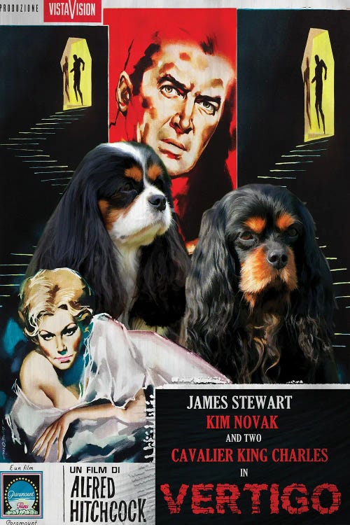 Cavalier King Charles Spaniel Vertigo Movie