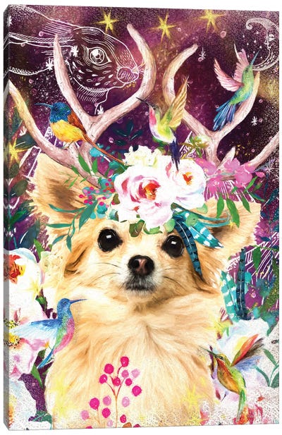 Long Haired Chihuahua And Hummingbird Canvas Art Print - Antler Art