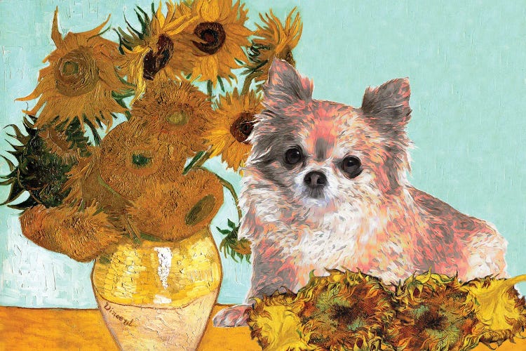 Long Haired Chihuahua Sunflowers