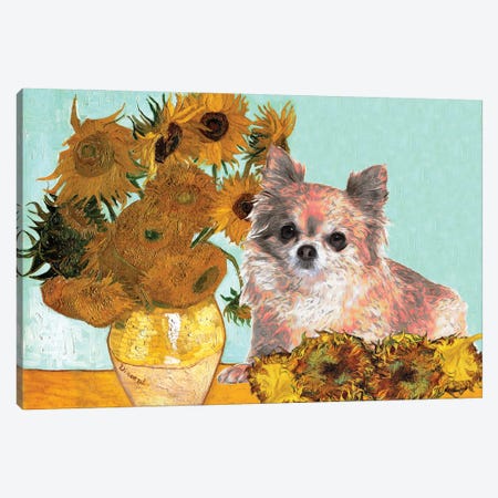 Long Haired Chihuahua Sunflowers Canvas Print #NDG350} by Nobility Dogs Canvas Wall Art