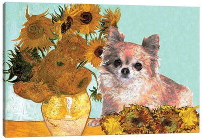 Long Haired Chihuahua Sunflowers Canvas Art Print - Van Gogh's Sunflowers Collection