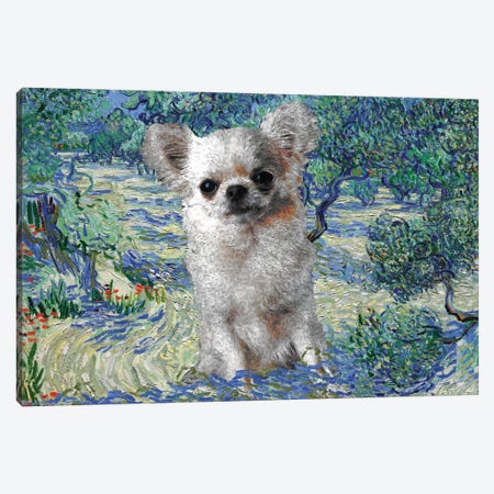 Long Haired Chihuahua Olive Orchard Canvas Print #NDG351} by Nobility Dogs Canvas Artwork