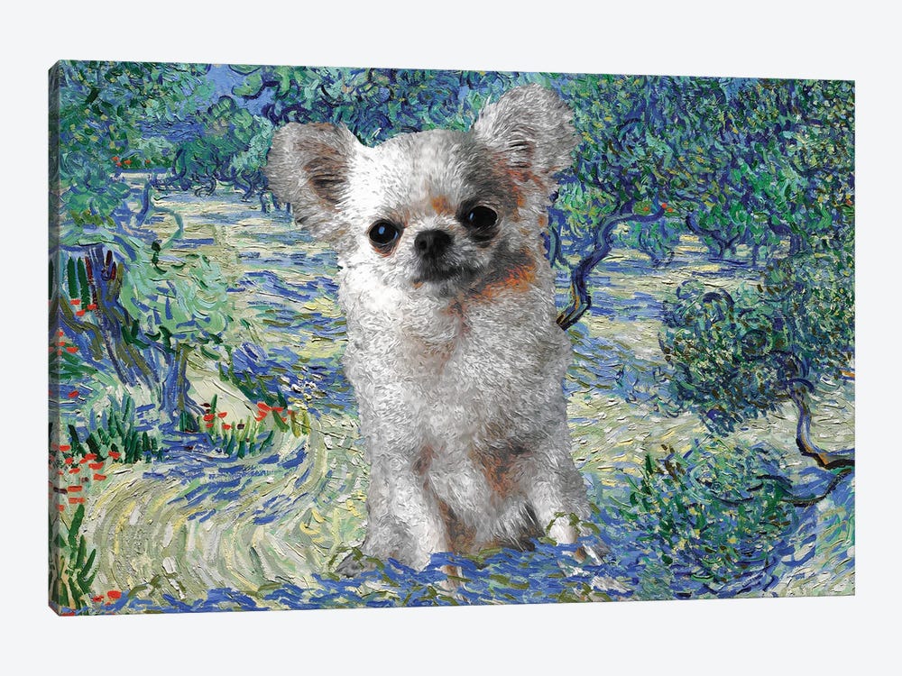 Long Haired Chihuahua Olive Orchard by Nobility Dogs 1-piece Canvas Artwork