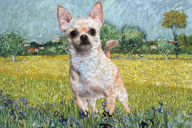 Chihuahua View Of Arles With Irises