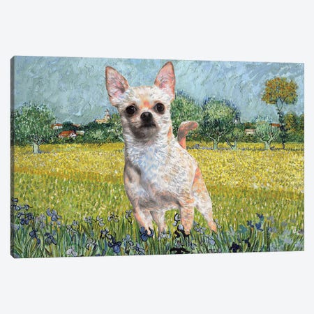 Chihuahua View Of Arles With Irises Canvas Print #NDG353} by Nobility Dogs Canvas Art