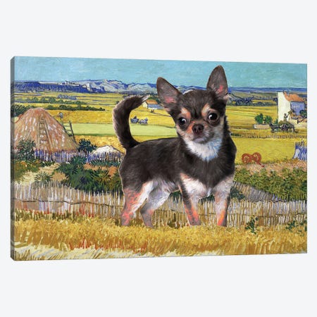 Chihuahua Harvest At La Crau Canvas Print #NDG355} by Nobility Dogs Art Print
