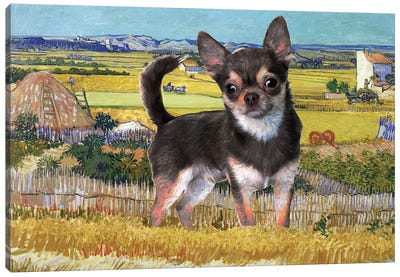 Chihuahua Harvest At La Crau Canvas Art Print - Nobility Dogs