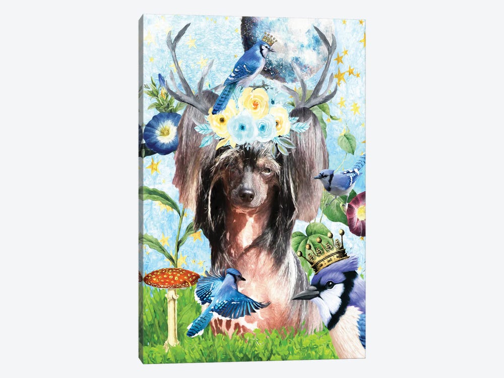 Chinese Crested Dog And Blue Jay by Nobility Dogs 1-piece Canvas Artwork