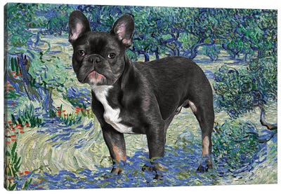 French Bulldog Olive Orchard Canvas Art Print - French Bulldog Art