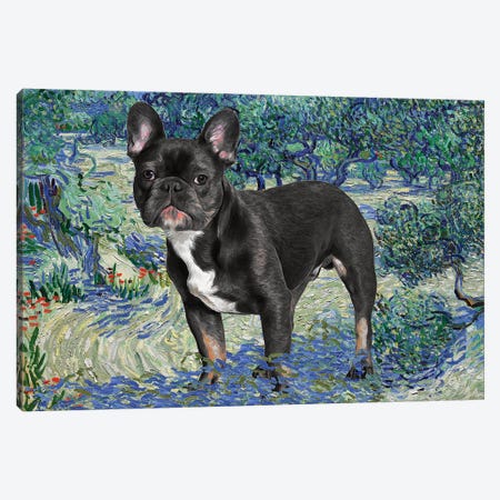 French Bulldog Olive Orchard Canvas Print #NDG36} by Nobility Dogs Canvas Wall Art
