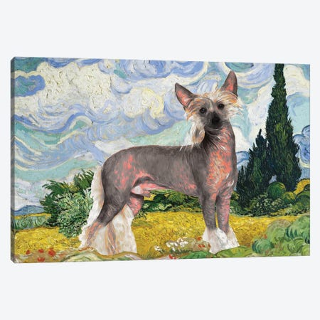 Chinese Crested Dog Wheat Field With Cypresses Canvas Print #NDG372} by Nobility Dogs Canvas Artwork