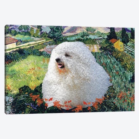 Coton De Tulear Field With Poppies Canvas Print #NDG374} by Nobility Dogs Art Print