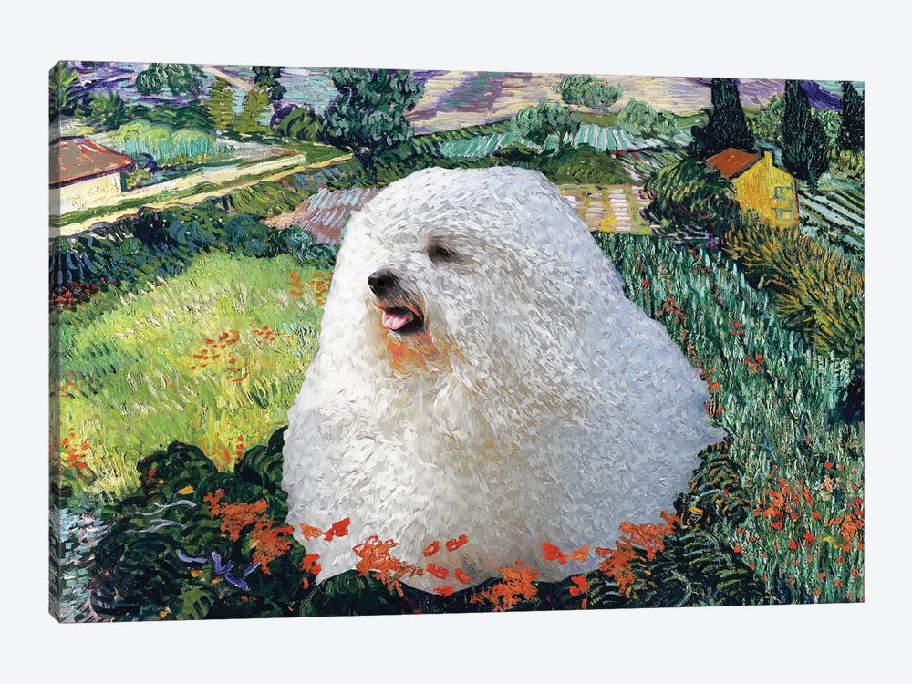 Coton De Tulear Field With Poppies by Nobility Dogs 1-piece Canvas Print