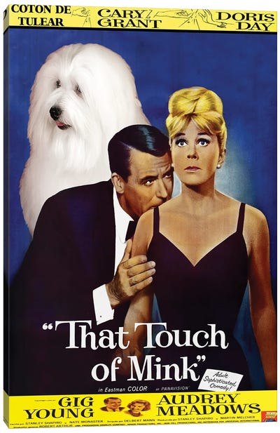 Coton De Tulear That Touch Of Mink Canvas Art Print - Cary Grant