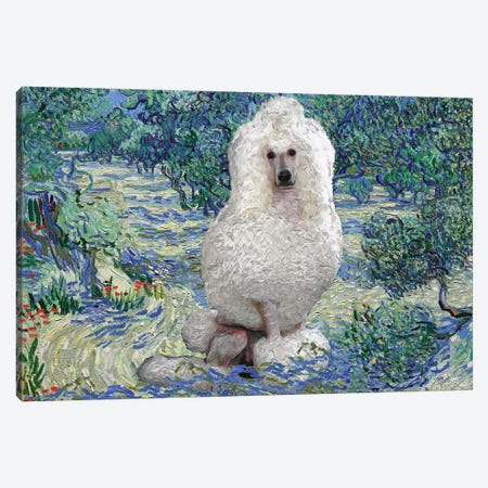 Poodle Olive Orchard Canvas Print #NDG37} by Nobility Dogs Canvas Wall Art