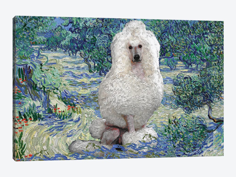 Poodle Olive Orchard by Nobility Dogs 1-piece Canvas Art