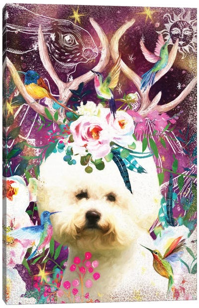 Bichon Frise Once Upon A Time Canvas Art Print - Antler Art