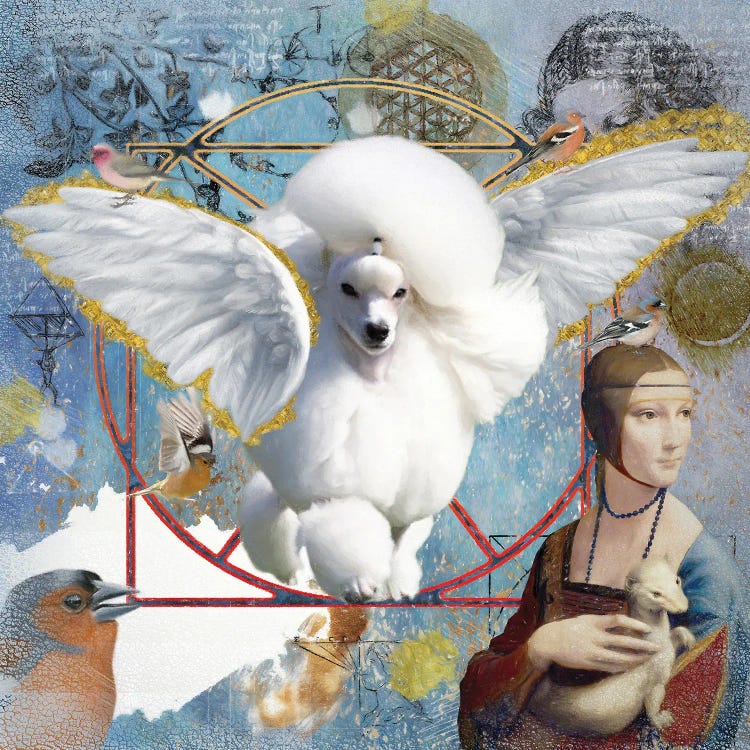 White Poodle Angel