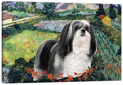 Lhasa Apso Field With Poppies Canvas Art Print
