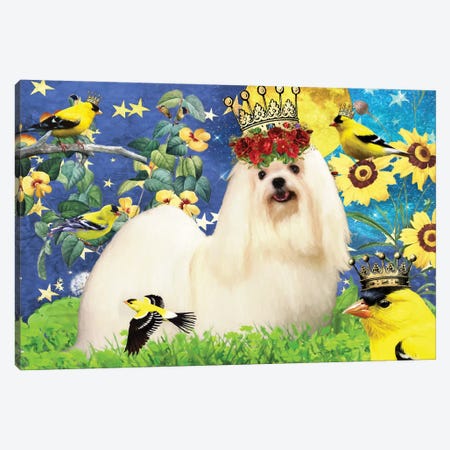 Maltese Dog And American Goldfinch Canvas Print #NDG400} by Nobility Dogs Canvas Artwork