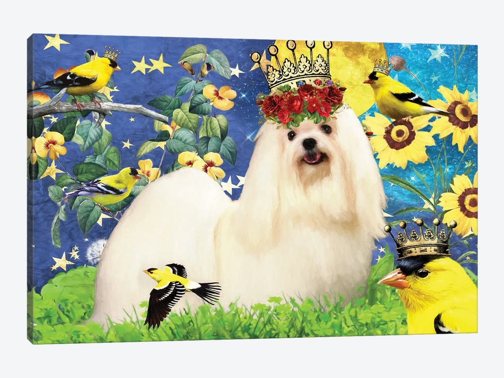 Maltese Dog And American Goldfinch by Nobility Dogs 1-piece Canvas Print