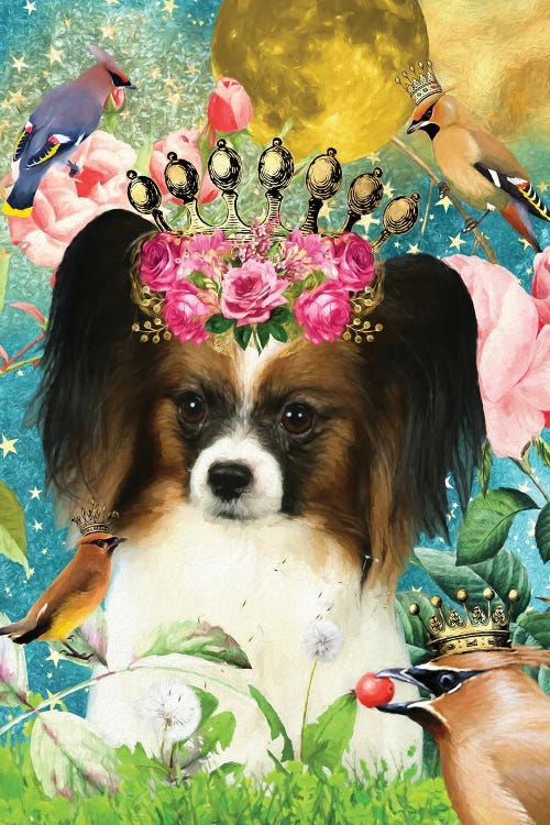 Papillon Dog And Waxwing