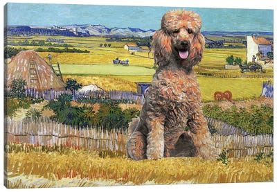 Apricot Poodle Harvest At La Crau Canvas Art Print - Nobility Dogs