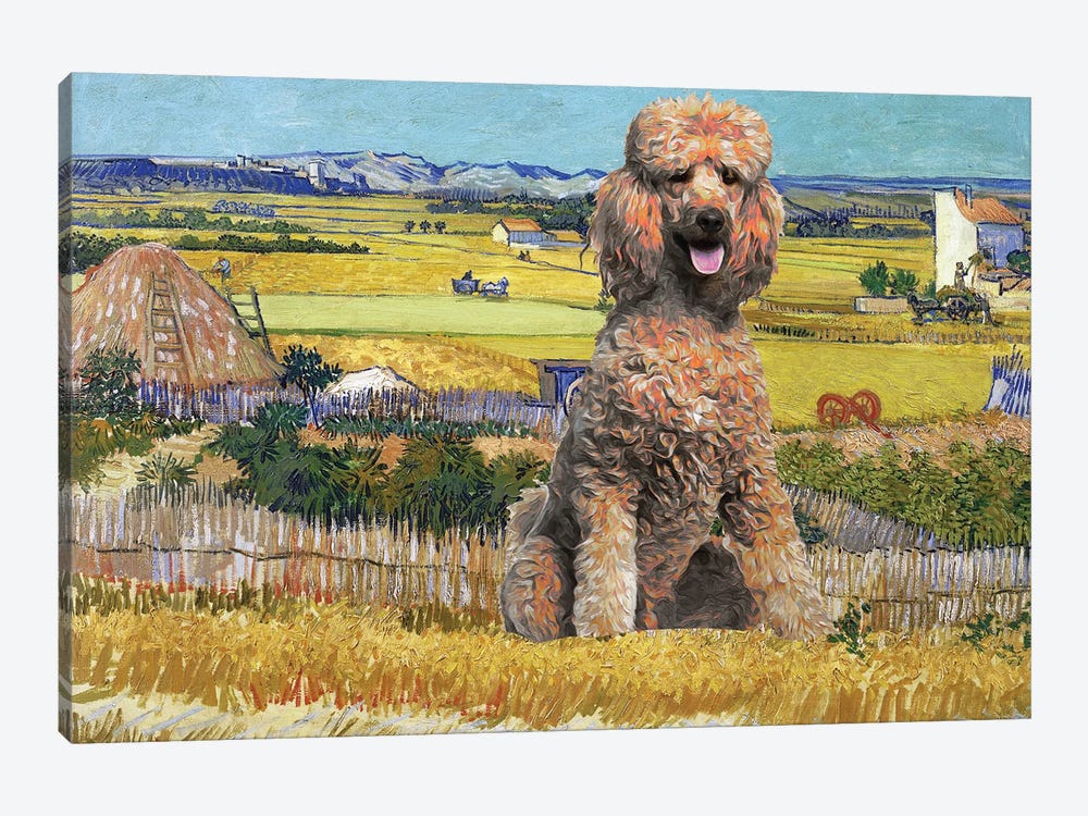 Apricot Poodle Harvest At La Crau by Nobility Dogs 1-piece Canvas Art