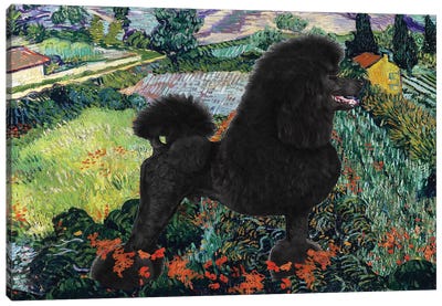 Black Poodle Field With Poppies Canvas Art Print - Nobility Dogs