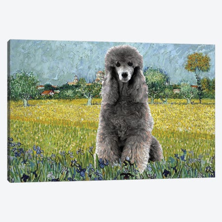 Poodle View Of Arles With Irises Canvas Print #NDG407} by Nobility Dogs Canvas Print